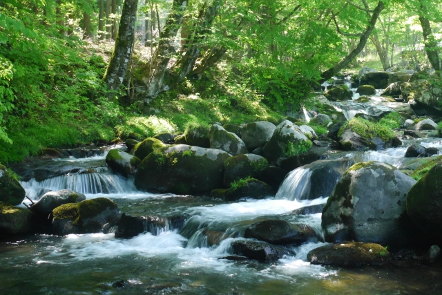 高値で取引されている「硯石」とは何なのか