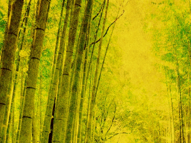 作品により高額買取も！屏風絵画家一覧